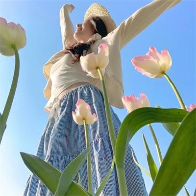 破坏者号：代号莫里图里