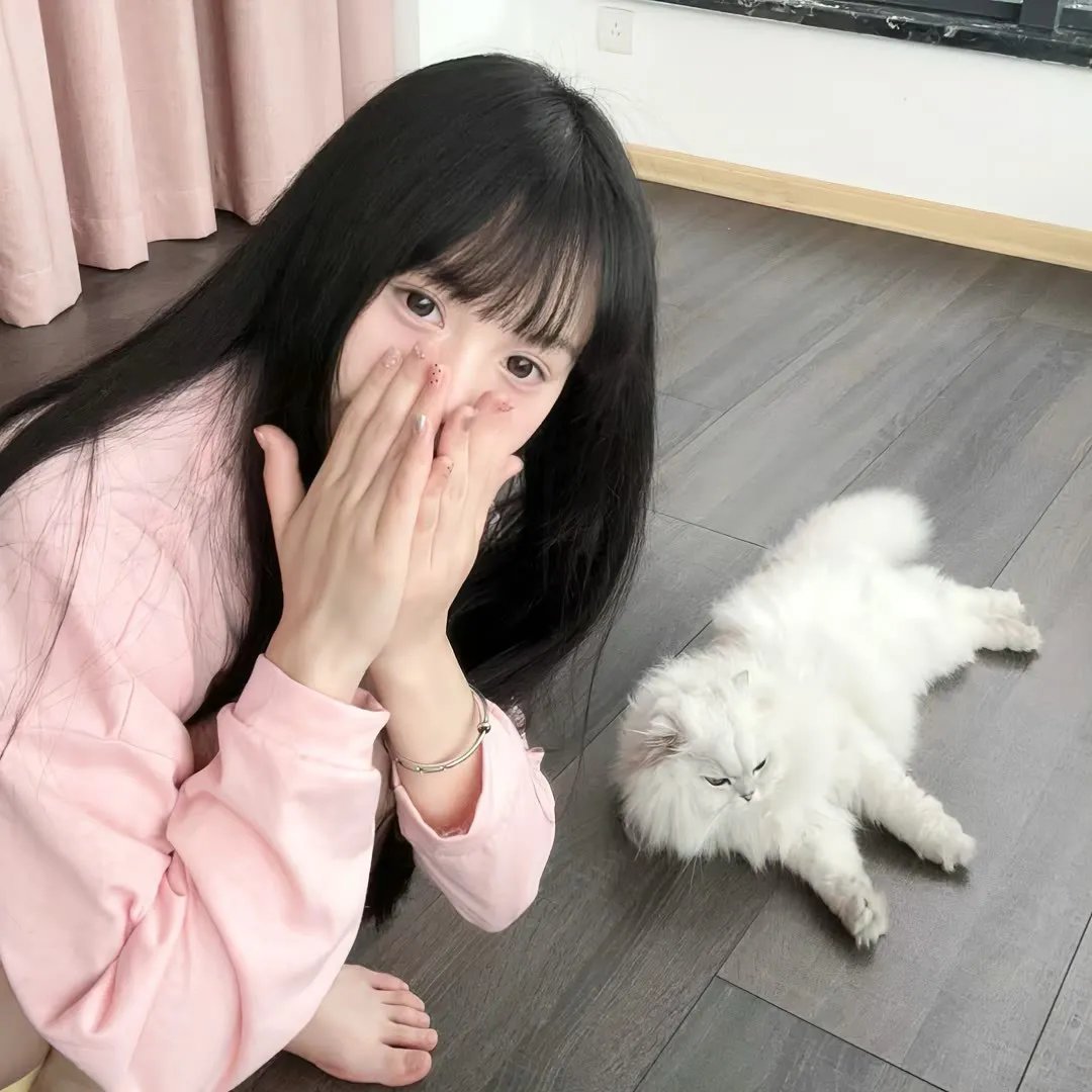 告白实行委员会：告白预演